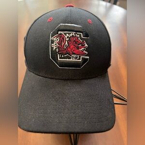 Zephyr Gamecocks black baseball hat